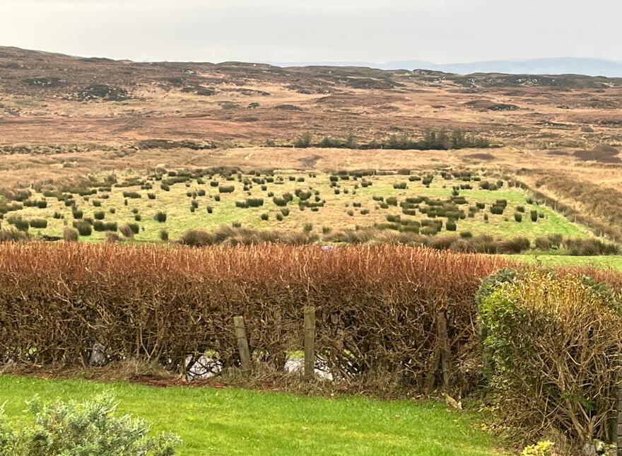 Glengad Mountain, Malin Head, F93V0V8