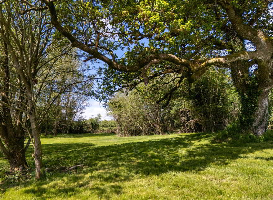 Glasscloon, Coolderry, Roscrea, E53YN40
