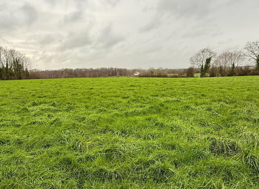 C. 4 Acres, Behind, 15 Derryane Road, Dungannon, BT71 6PB