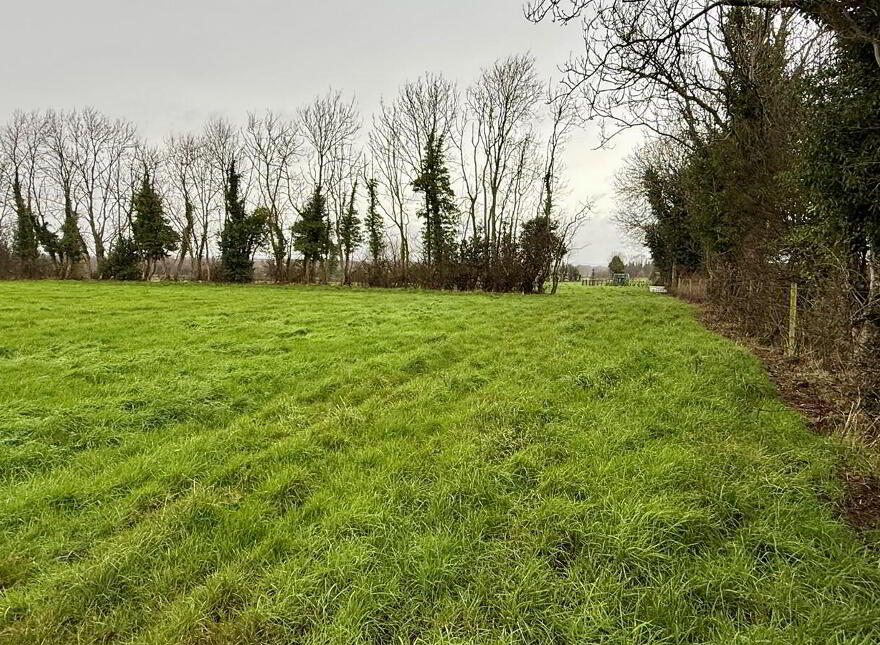 C. 4 Acres, Behind, 15 Derryane Road, Dungannon, BT71 6PB