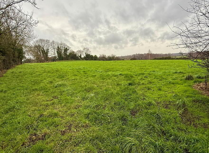 C. 4 Acres, Behind, 15 Derryane Road, Dungannon, BT71 6PB