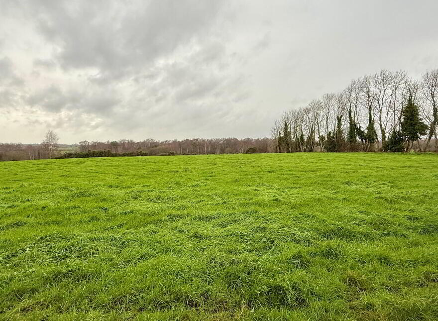 C. 4 Acres, Behind, 15 Derryane Road, Dungannon, BT71 6PB