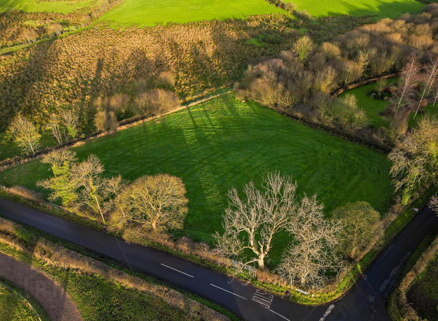 Site West Of, 75 Grove Road, Dromore, BT25 1QY