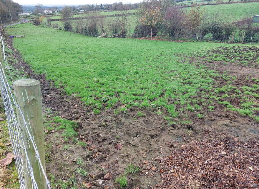 Paddock, Carricknashane, Castlefin, F93D3KC