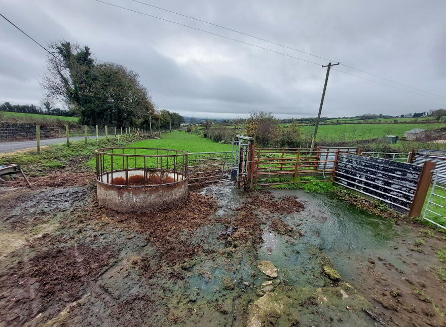 Paddock, Carricknashane, Castlefin, F93D3KC