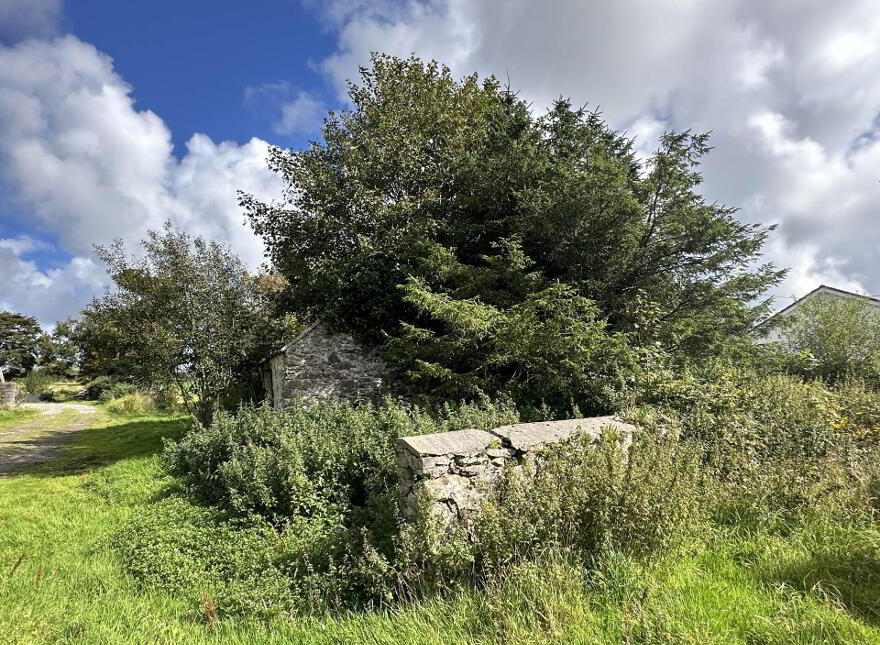 Dristernan, Gleneely, F93W6K5