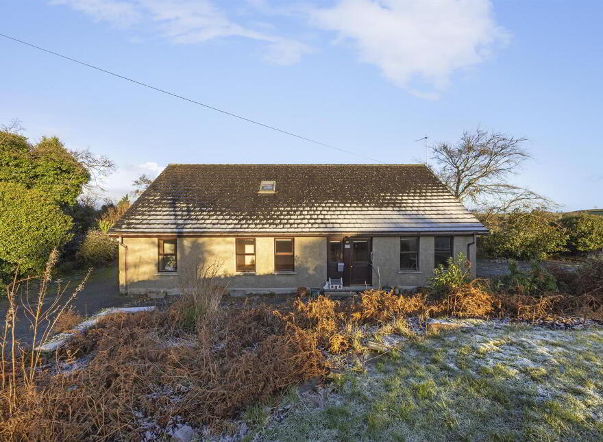 62 Drumaness Road, Ballynahinch, BT24 8LT photo