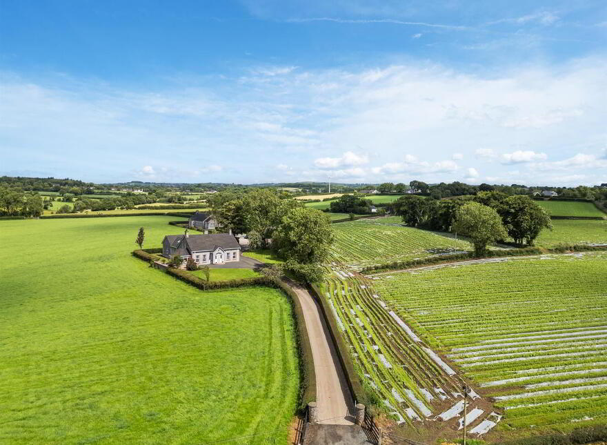 39 Ballylinney Road, Ballyclare, BT39 9RH photo