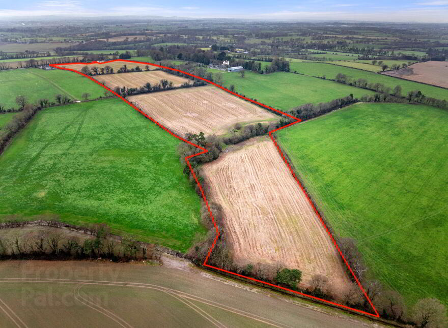 Newstown, Newstown, Tullow photo