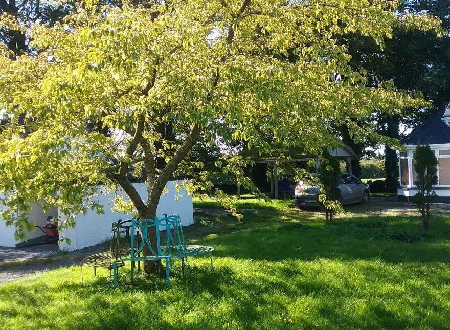 Nettlehill Lodge, Kilshanvy, Cloghans Hill, Tuam, H54A317
