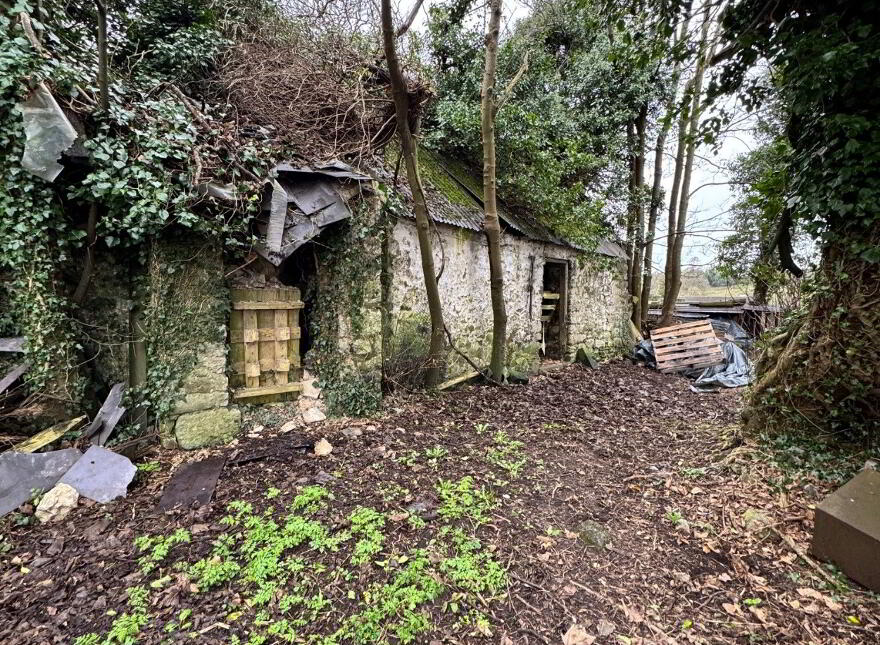 Derelict Cottage At Corcuillogue, Carrickmacross photo