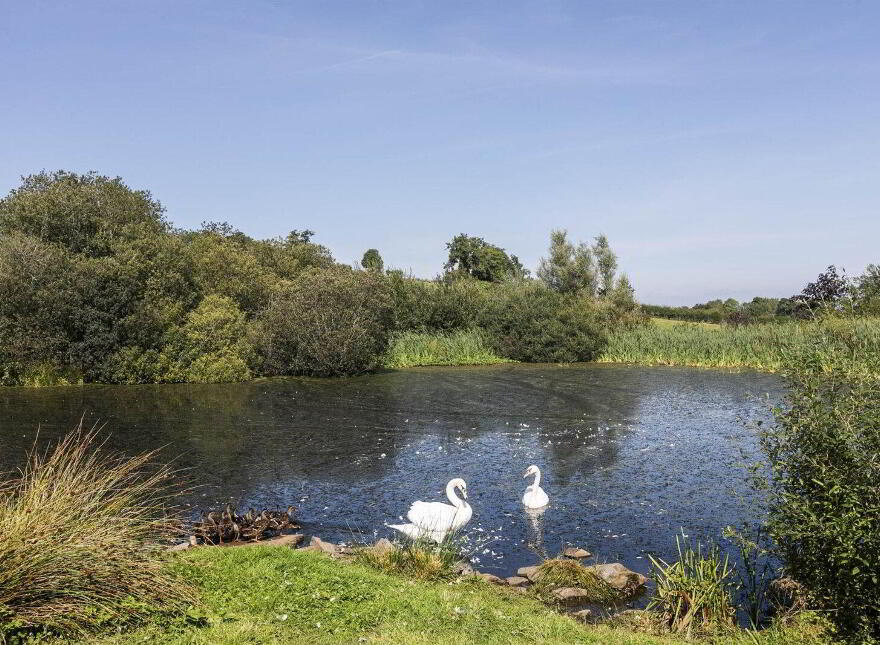 Windyknowe, 14 Tullyveery Road, Derryboye, Killyleagh, BT30 9TD