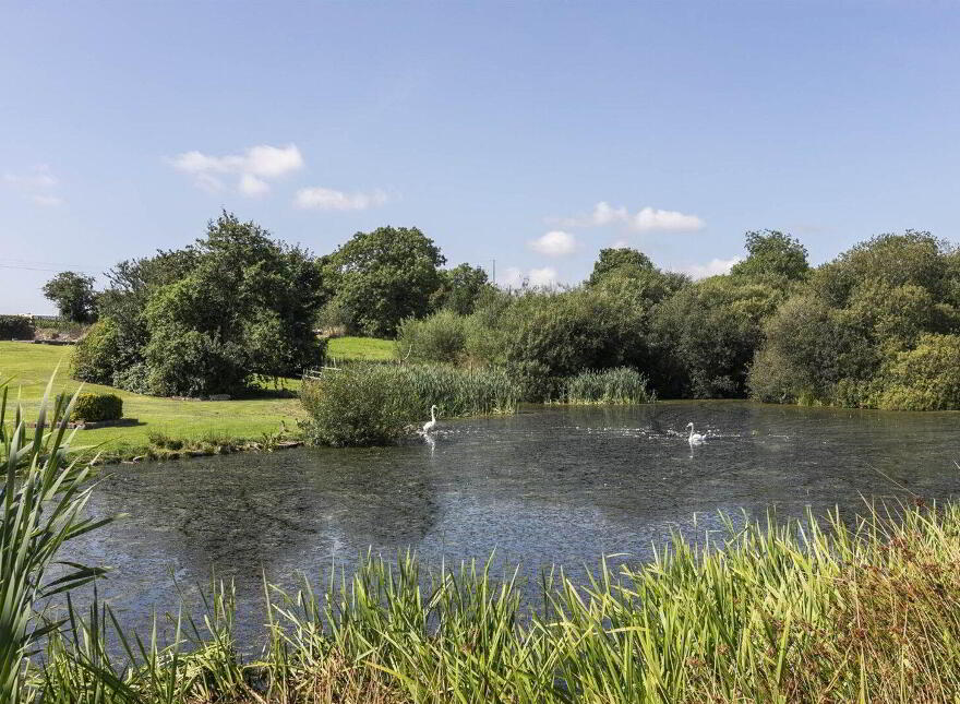 Windyknowe, 14 Tullyveery Road, Derryboye, Killyleagh, BT30 9TD