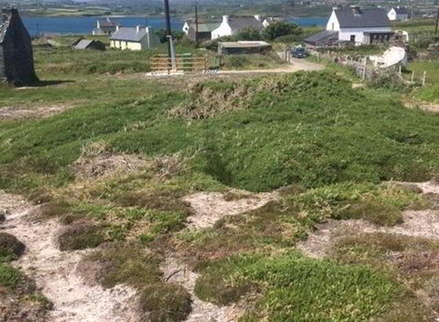 Long Island, Schull