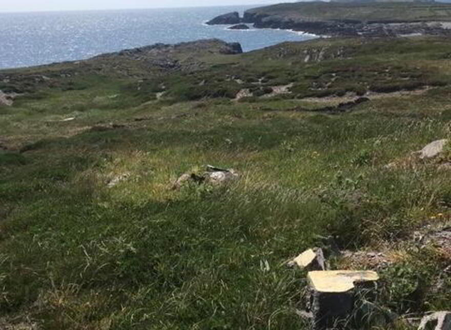Long Island, Schull