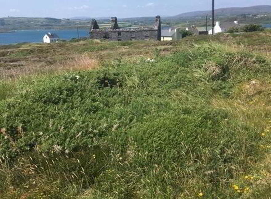 Long Island, Schull