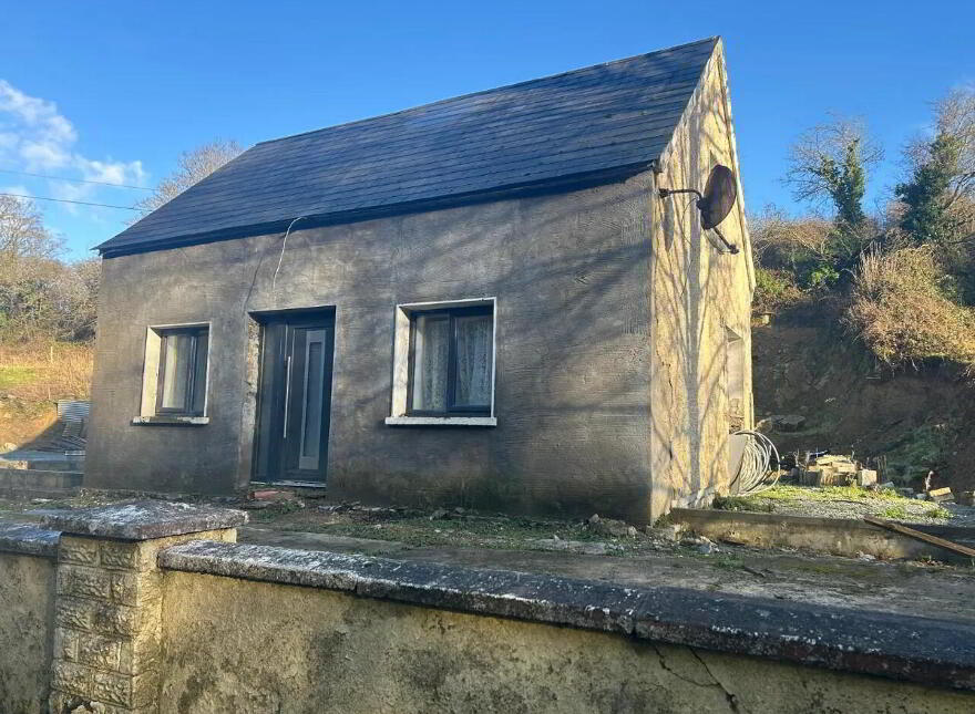 Ballyveelick, Castletownroche, P51V389
