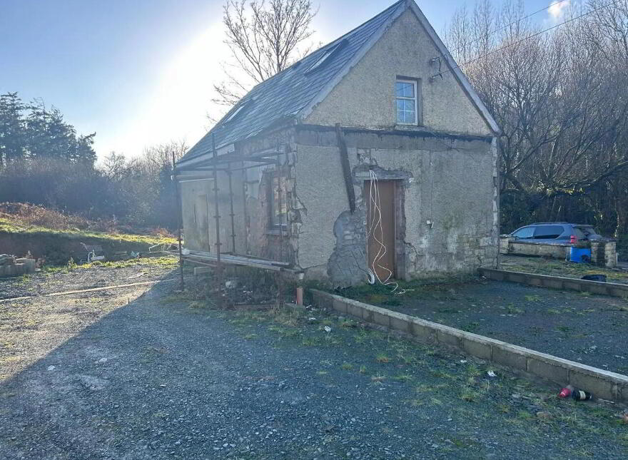 Ballyveelick, Castletownroche, P51V389