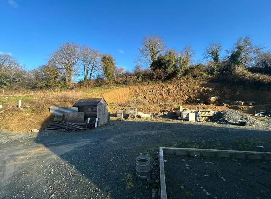 Ballyveelick, Castletownroche, P51V389