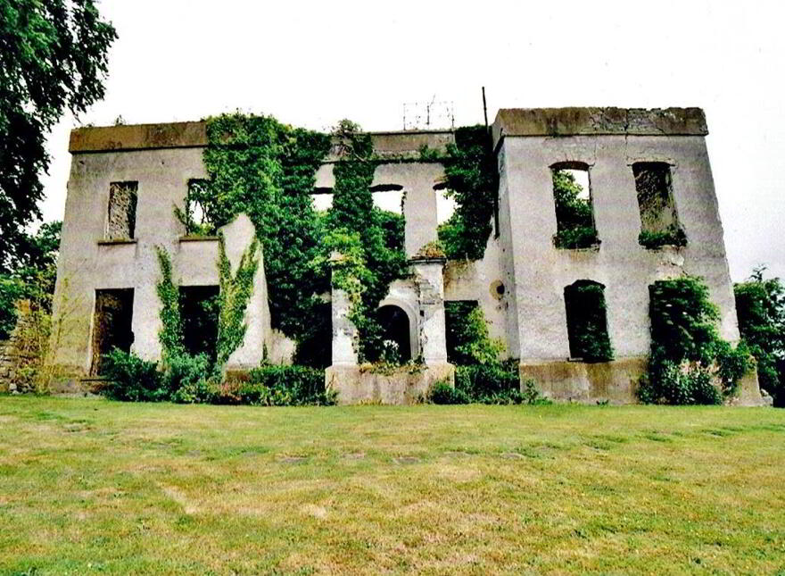 O'Dempsey's Castle, Geashill, R35DC42