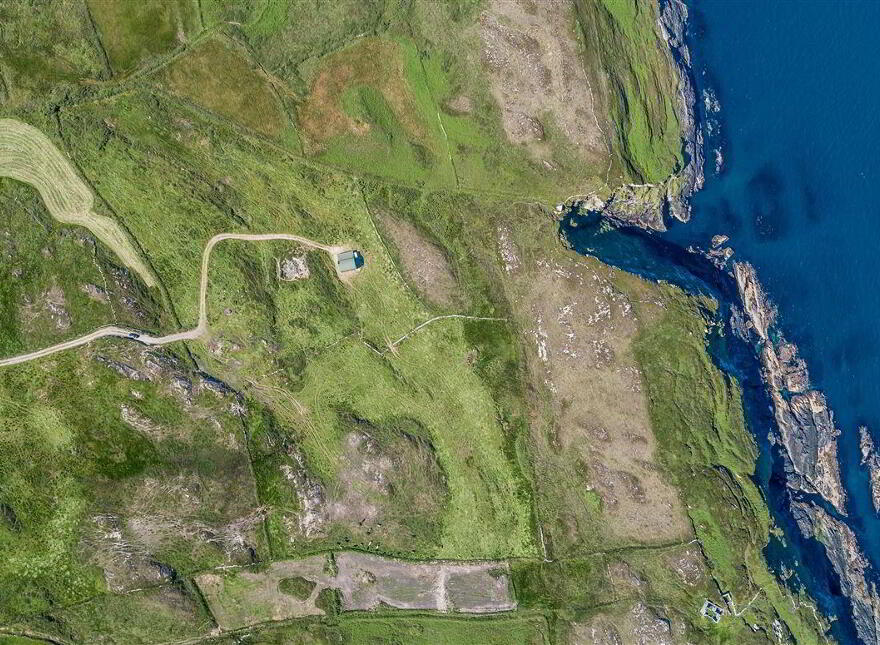 Balteen, Goleen