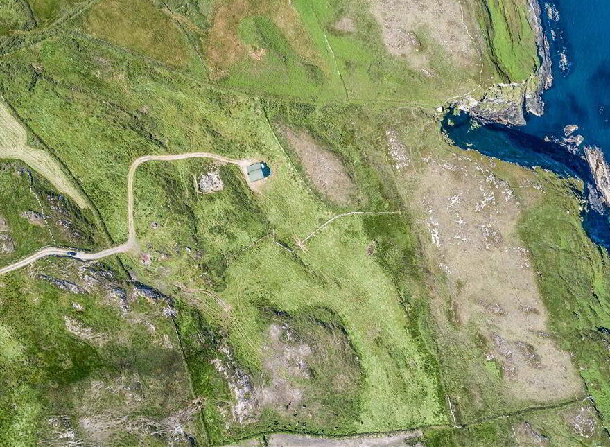 Balteen, Goleen