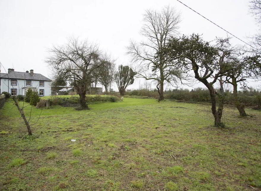 Streete Village, Streete, N91CF20