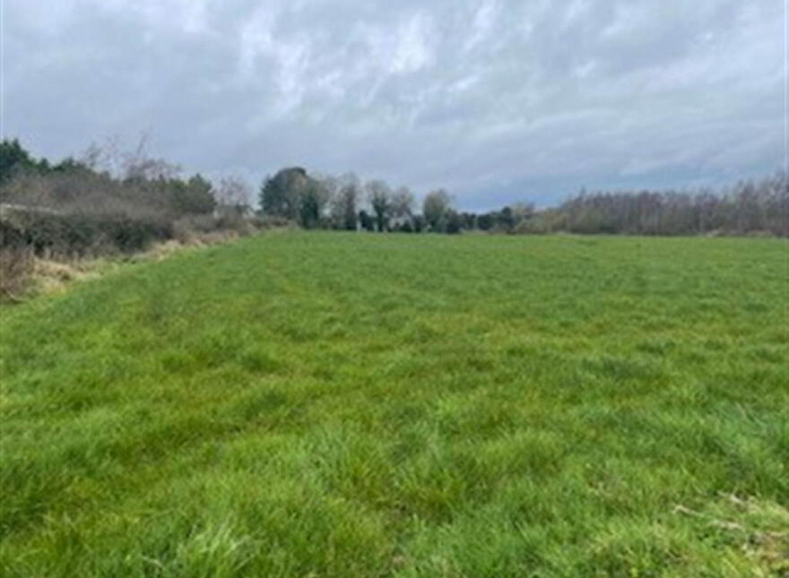 Site At, Moneynick Road, Toomebridge, BT41 3QR