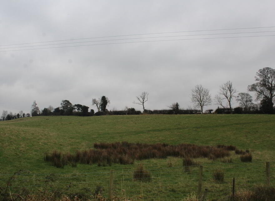 Agricultural Land, Kinghill Road, Cabra, Hilltown, Newry, BT34 5RB