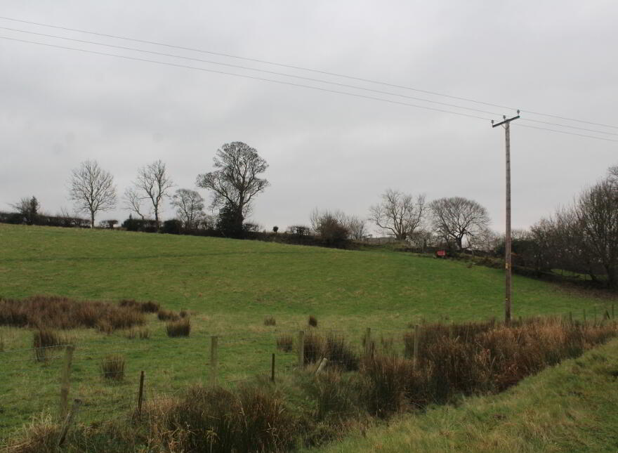Agricultural Land, Kinghill Road, Cabra, Hilltown, Newry, BT34 5RB