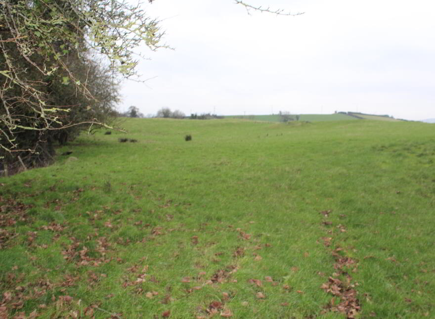 Agricultural Land, Kinghill Road, Cabra, Hilltown, Newry, BT34 5RB
