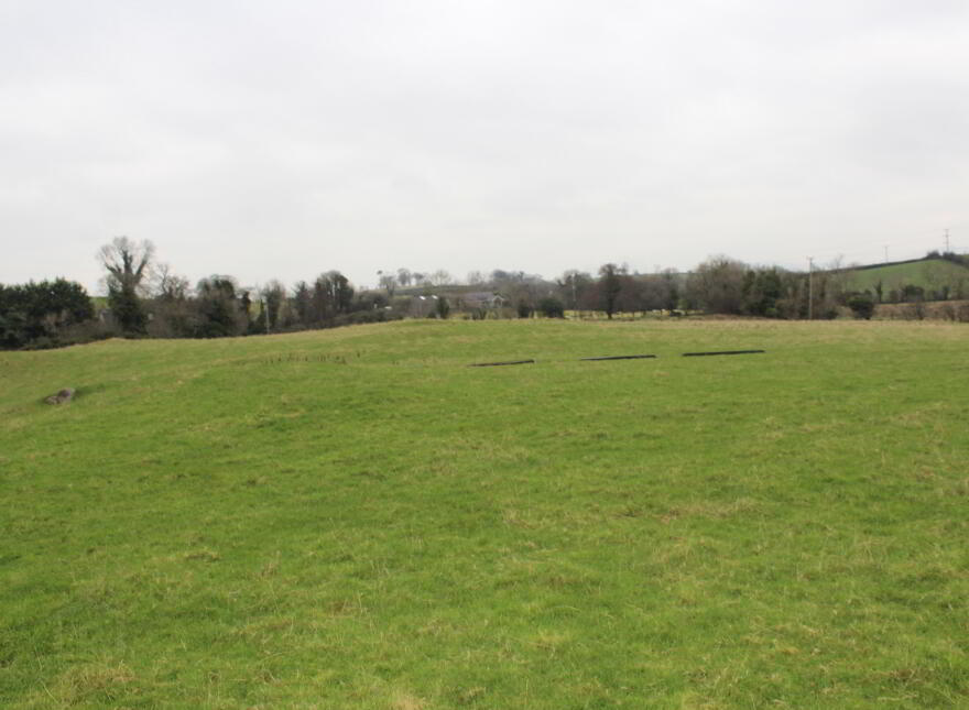 Agricultural Land, Kinghill Road, Cabra, Hilltown, Newry, BT34 5RB