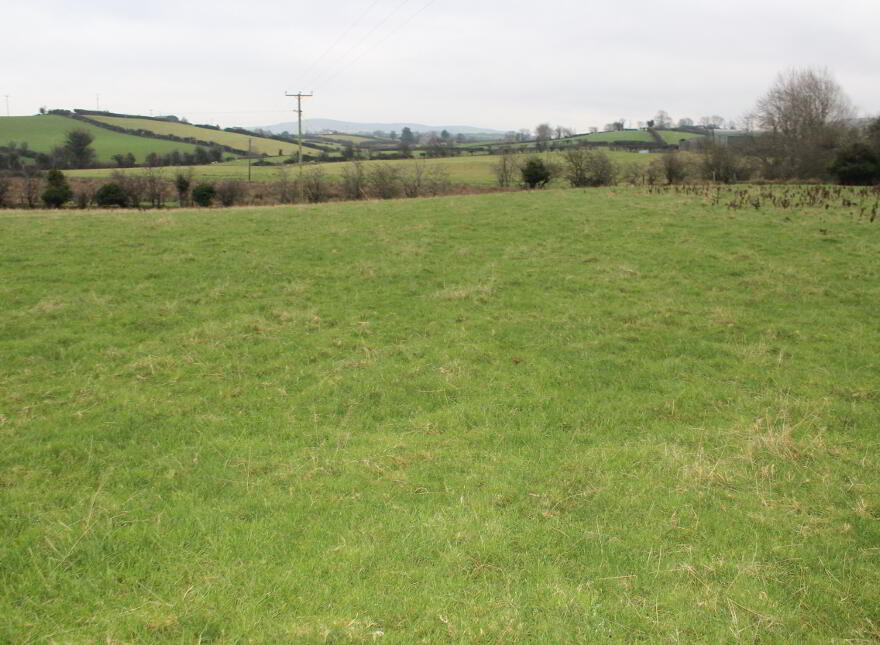 Agricultural Land, Kinghill Road, Cabra, Hilltown, Newry, BT34 5RB