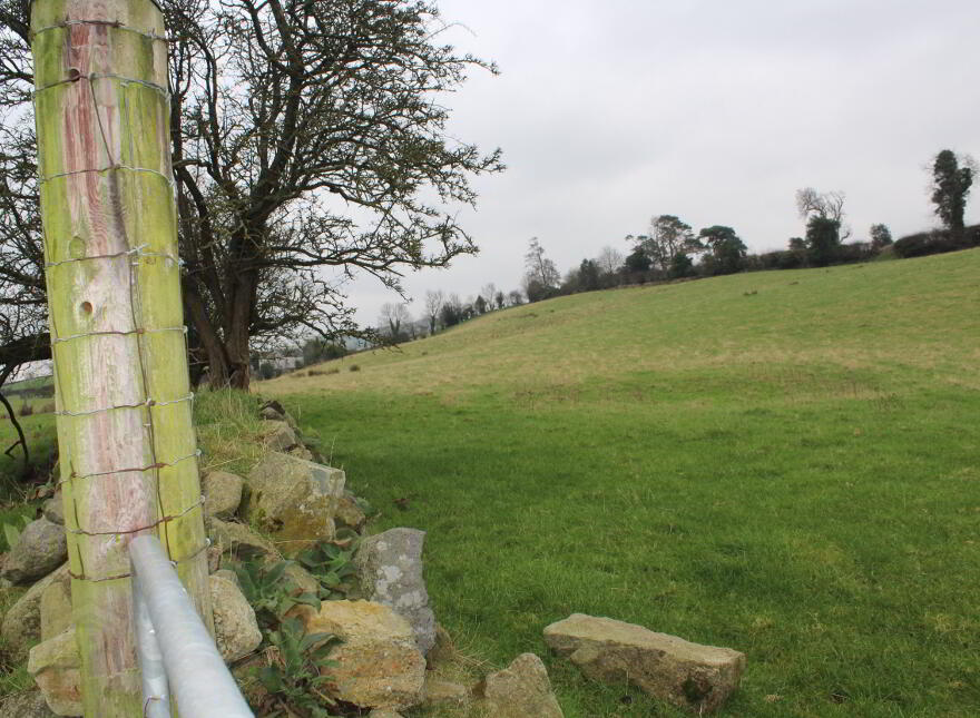 Agricultural Land, Kinghill Road, Cabra, Hilltown, Newry, BT34 5RB