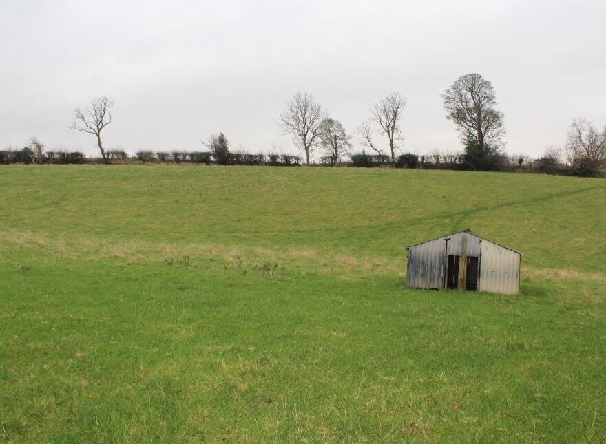 Agricultural Land, Kinghill Road, Cabra, Hilltown, Newry, BT34 5RB