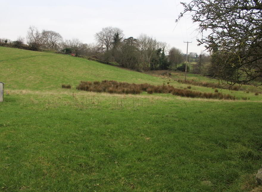Agricultural Land, Kinghill Road, Cabra, Hilltown, Newry, BT34 5RB