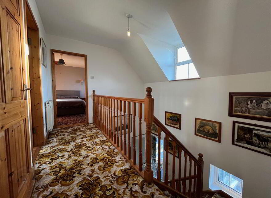 Toad Hall, Colla, Schull, West, P81X821