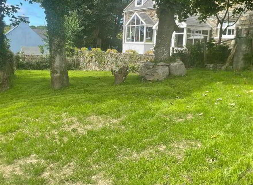 Toad Hall, Colla, Schull, West, P81X821