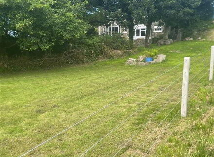 Toad Hall, Colla, Schull, West, P81X821