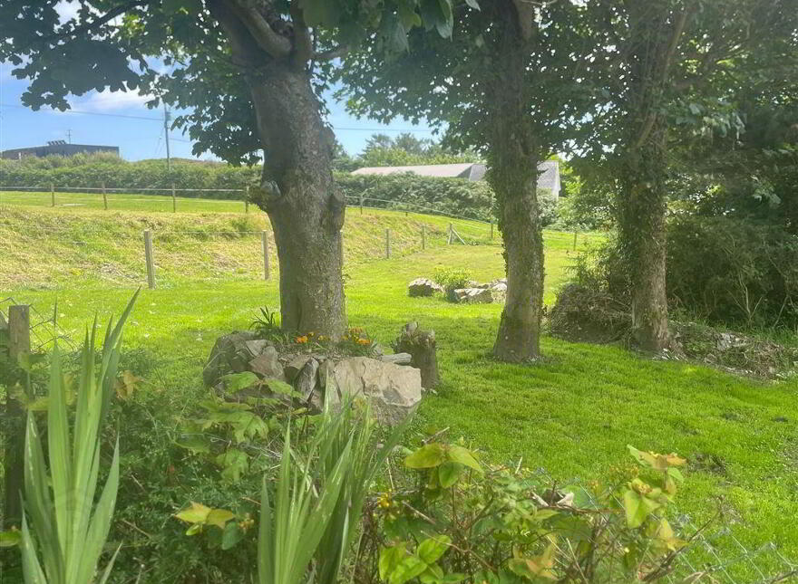 Toad Hall, Colla, Schull, West, P81X821