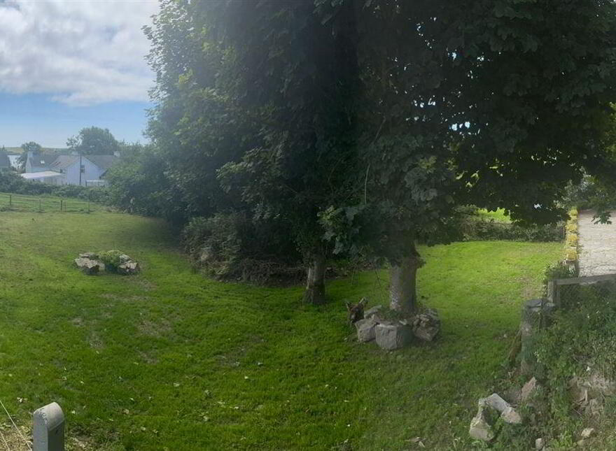 Toad Hall, Colla, Schull, West, P81X821