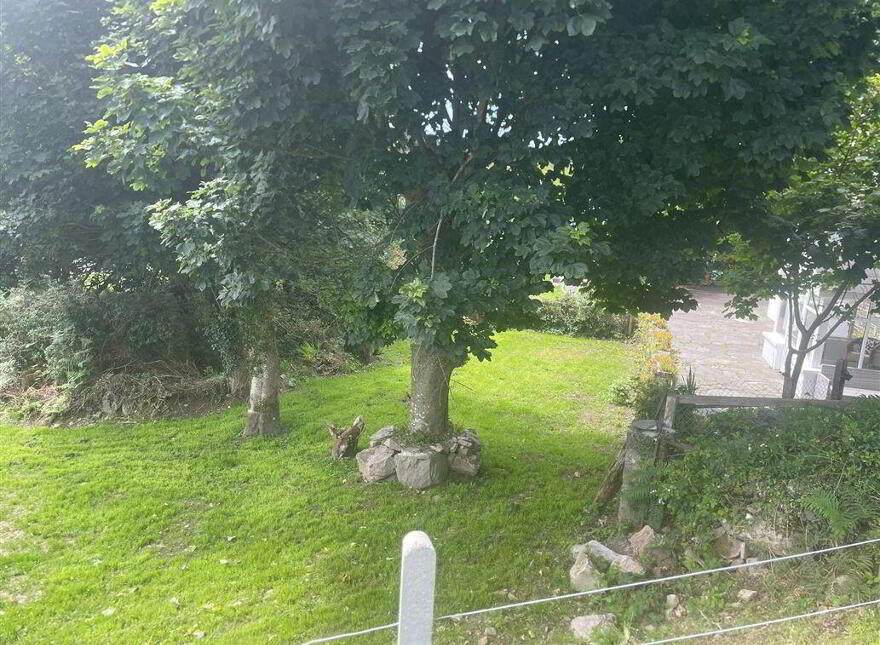 Toad Hall, Colla, Schull, West, P81X821