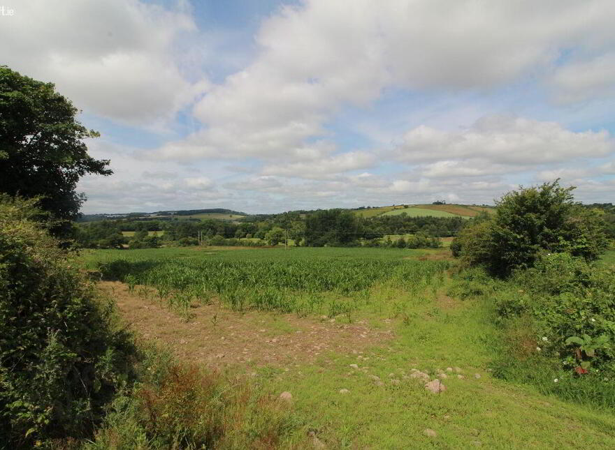 Broomfield, West, Midleton photo