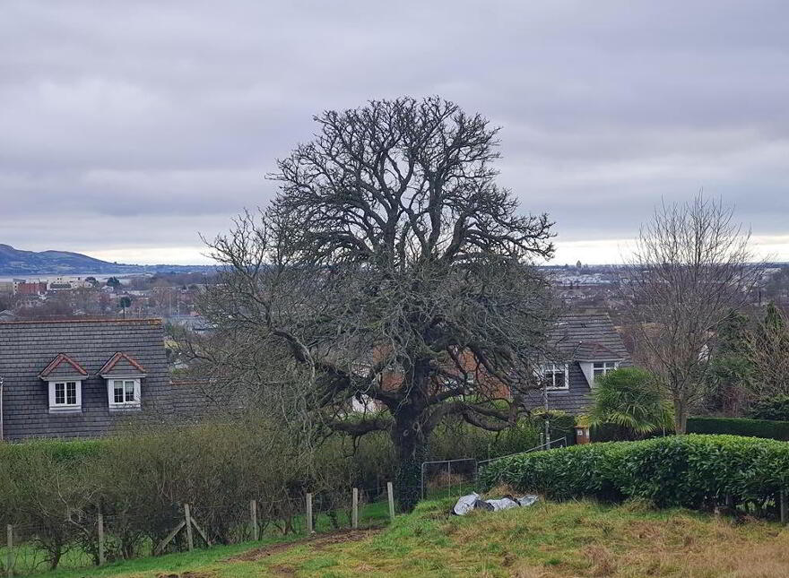 No. 7 Headford, Mount Avenue, Dundalk, Louth
