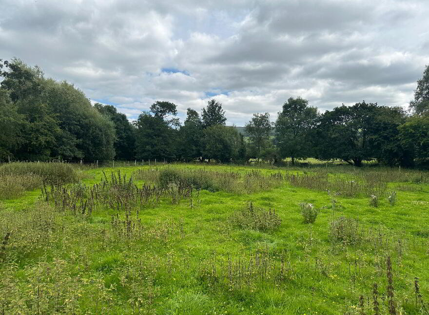 Circa 4.47 Acres, 1.81 HA Ballyporeen Village, Ballyporeen