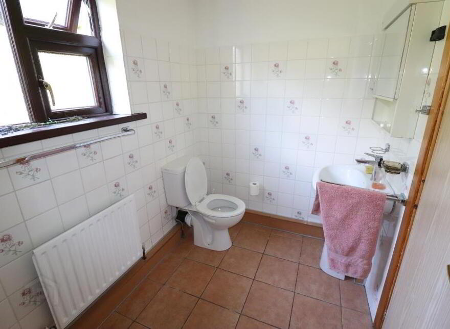 Ballinlyna Upper, Kilfinane, V35P660