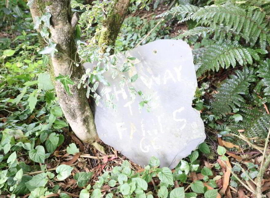 Ballinlyna Upper, Kilfinane, V35P660