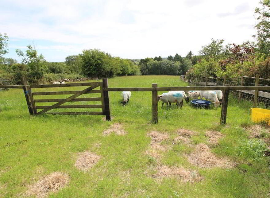 Clare View Cottage, Lehid, Tuam, Galway, H54W654
