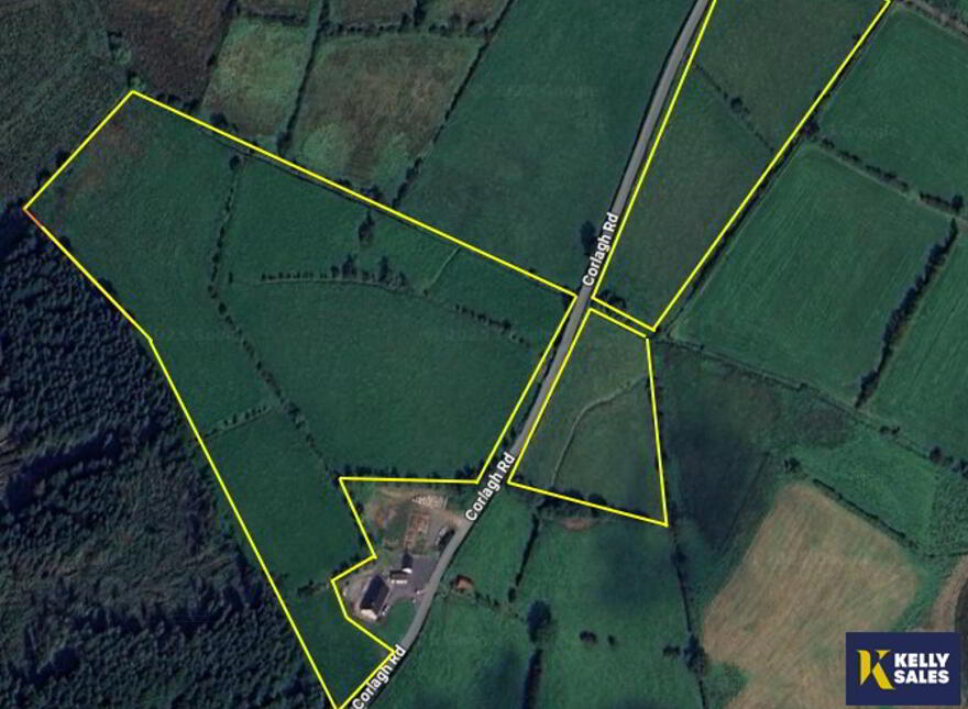 16.5 Acres Farmland, Corlagh Road, Dromore, Dromore, BT78 3LX photo