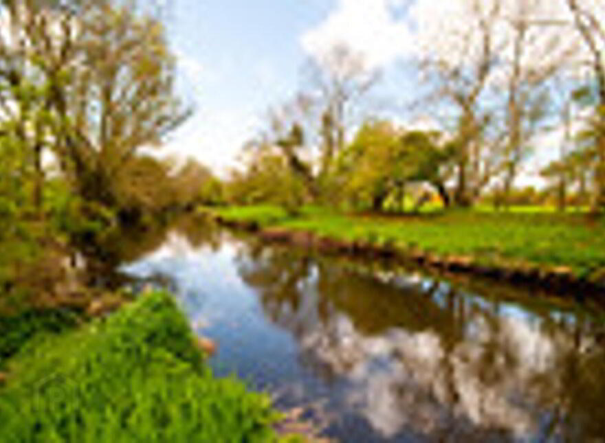 Maggys Steps, 10 Donaghcloney Road, Dromore, BT25 1JR